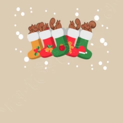 écureuil Dans Les Chaussettes De Noël E