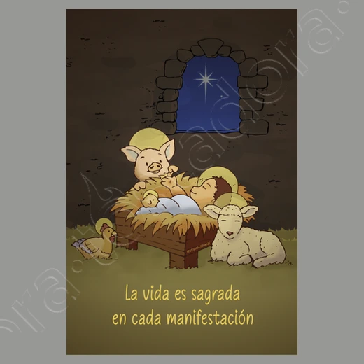 Noël 2021 9 Noël 2021 – Image 7